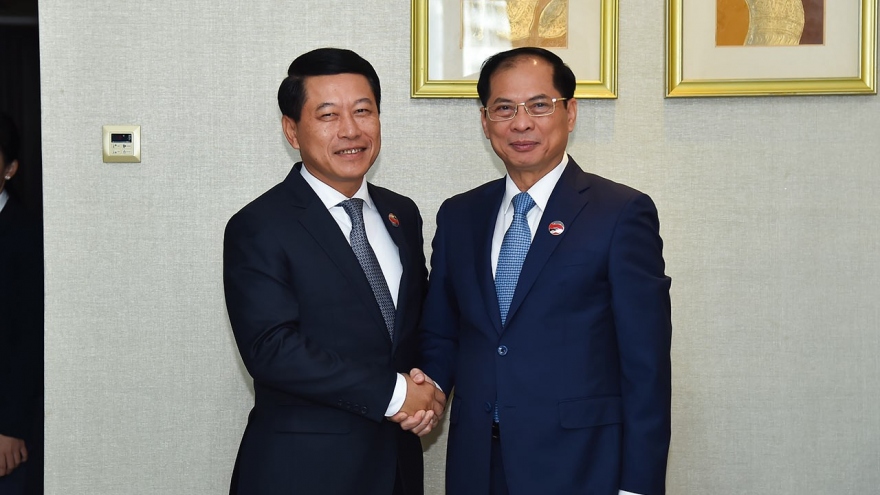 Vietnam to support Laos to successfully host ASEAN Chairmanship Year 2024